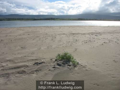 Culleenamore, County Sligo